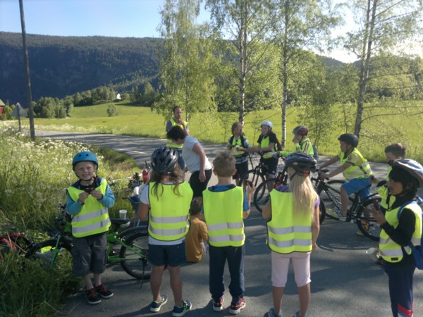 Tante Gunn varta opp med trillebårkaker