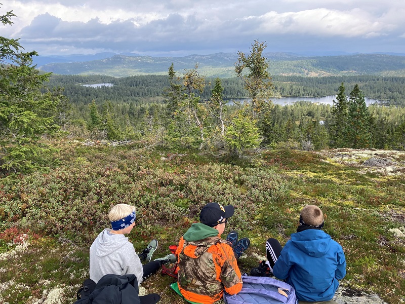 Nyt utsikten